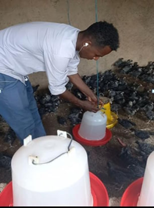 Hatchery
