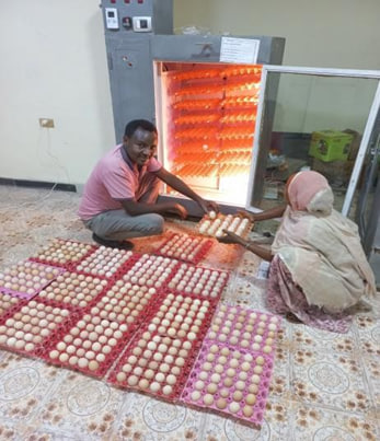 Hatchery
